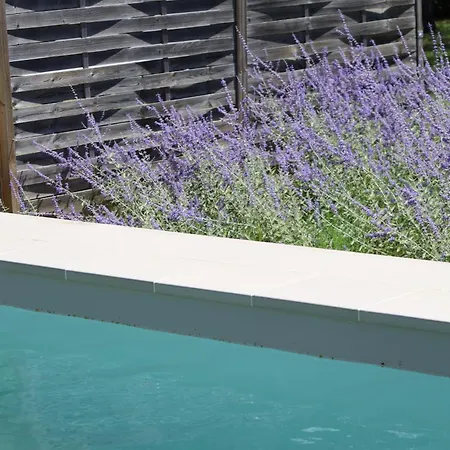 Jan Vives Bed & Breakfast