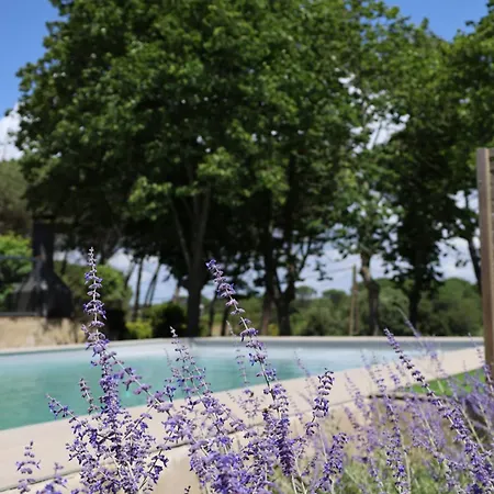 Jan Vives 4* Vidreres