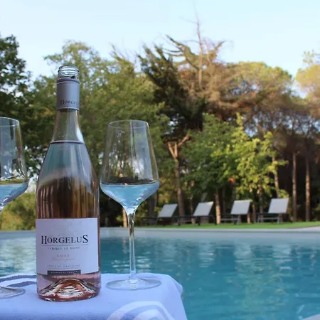 Jan Vives Bed & Breakfast Vidreres